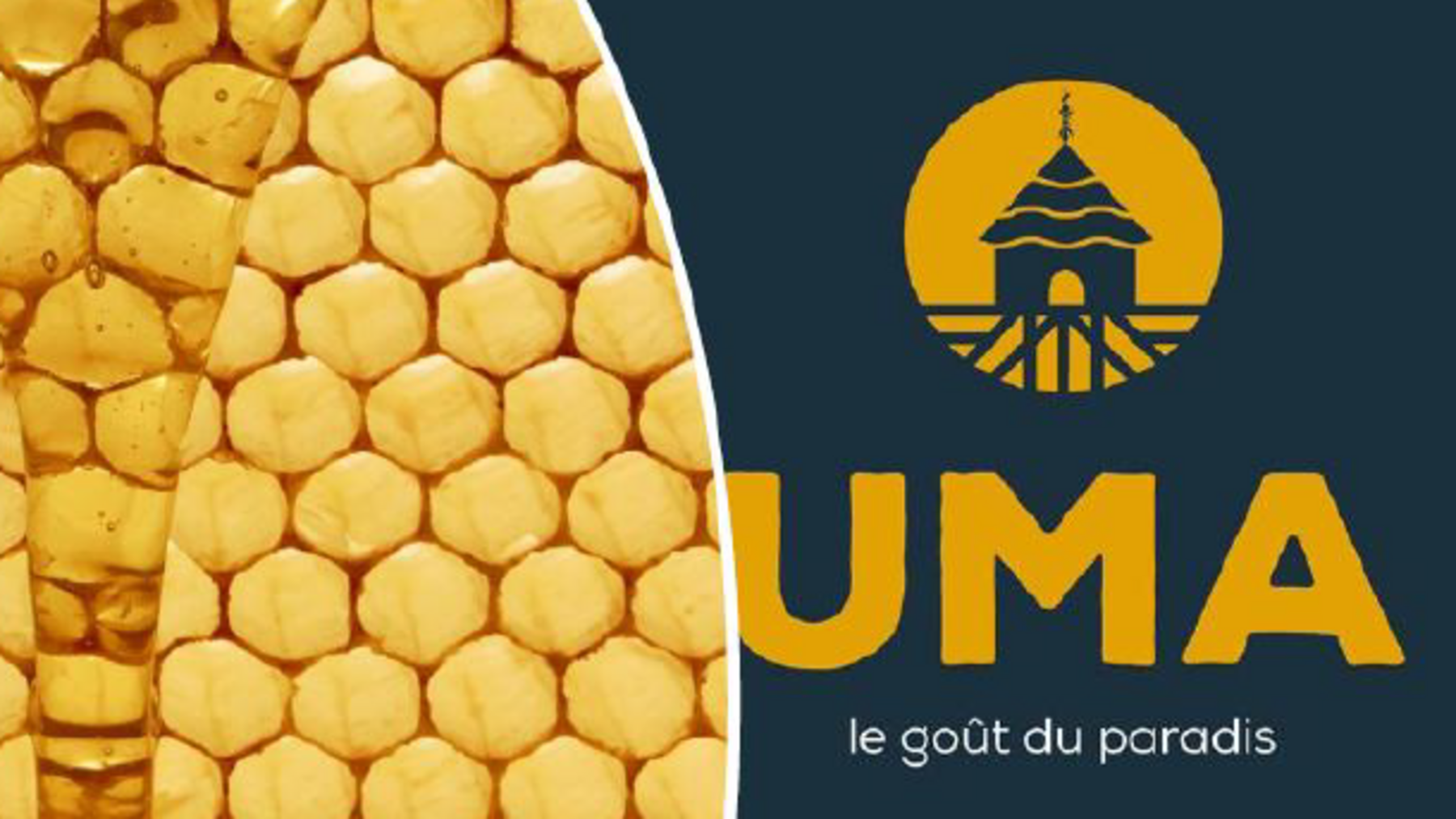 Opération LA CASE DU MIEL : Impact et valorisation locale