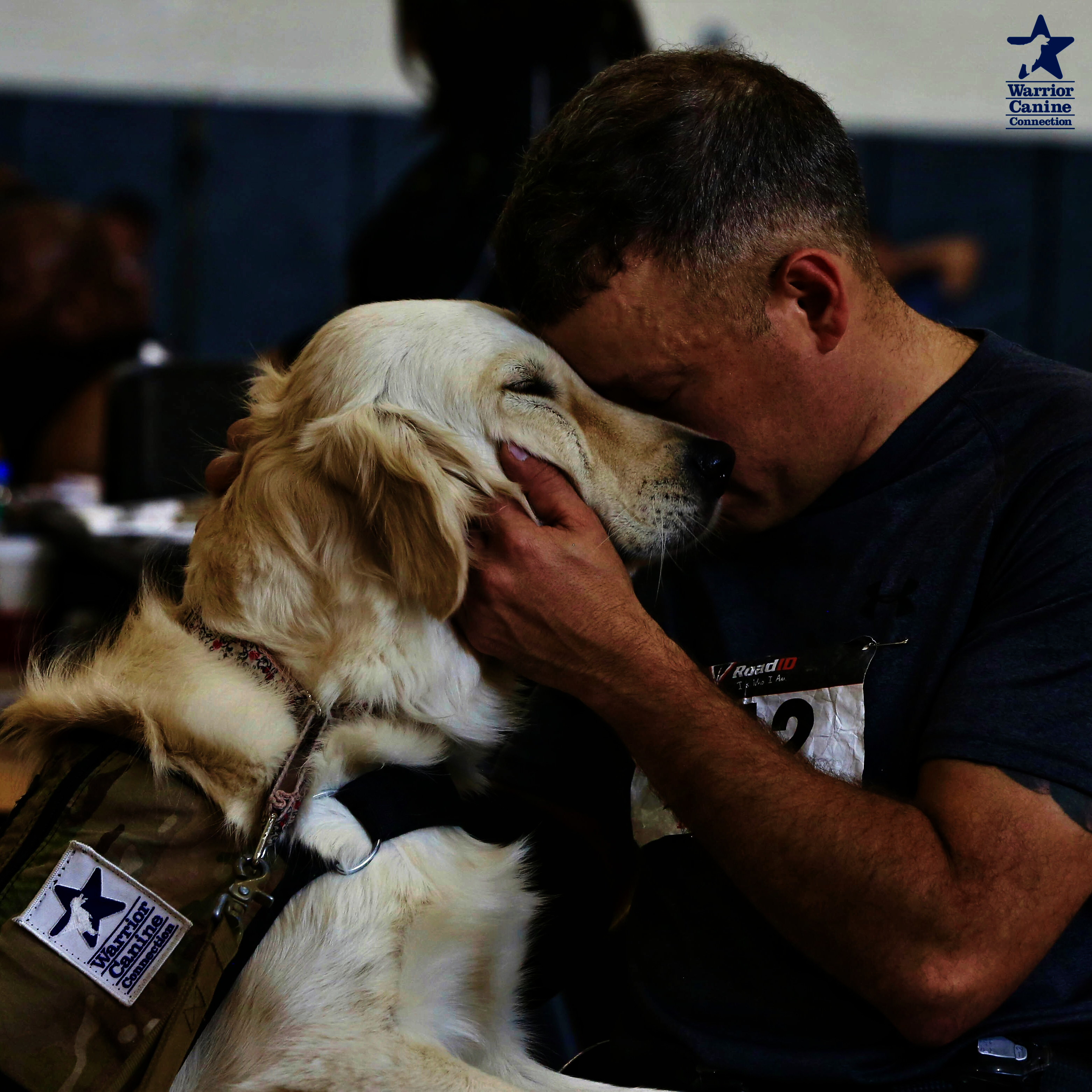 ساعد في تمويل الكلاب الخدمية للمحاربين القدامى
