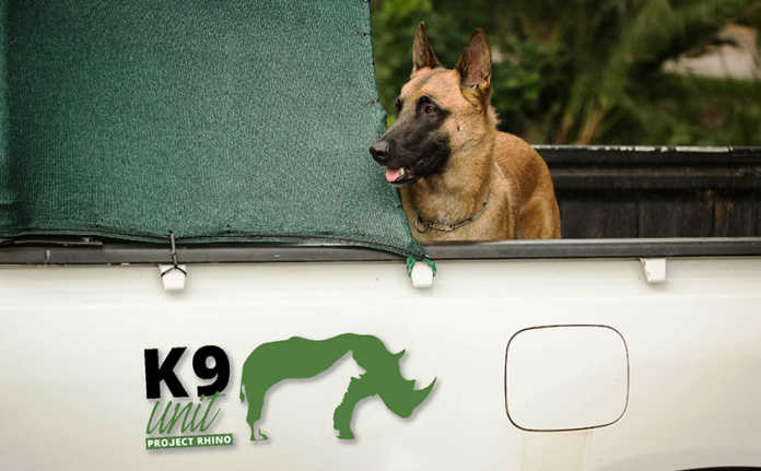 Unit Proyek Rhino K9: Melindungi Satwa Liar Afrika