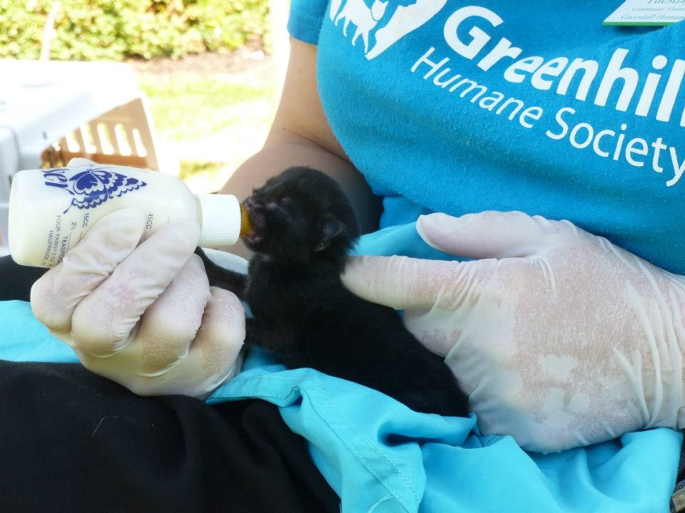 أنقذوا حياة الحيوانات المشردة في ولاية أوريغون