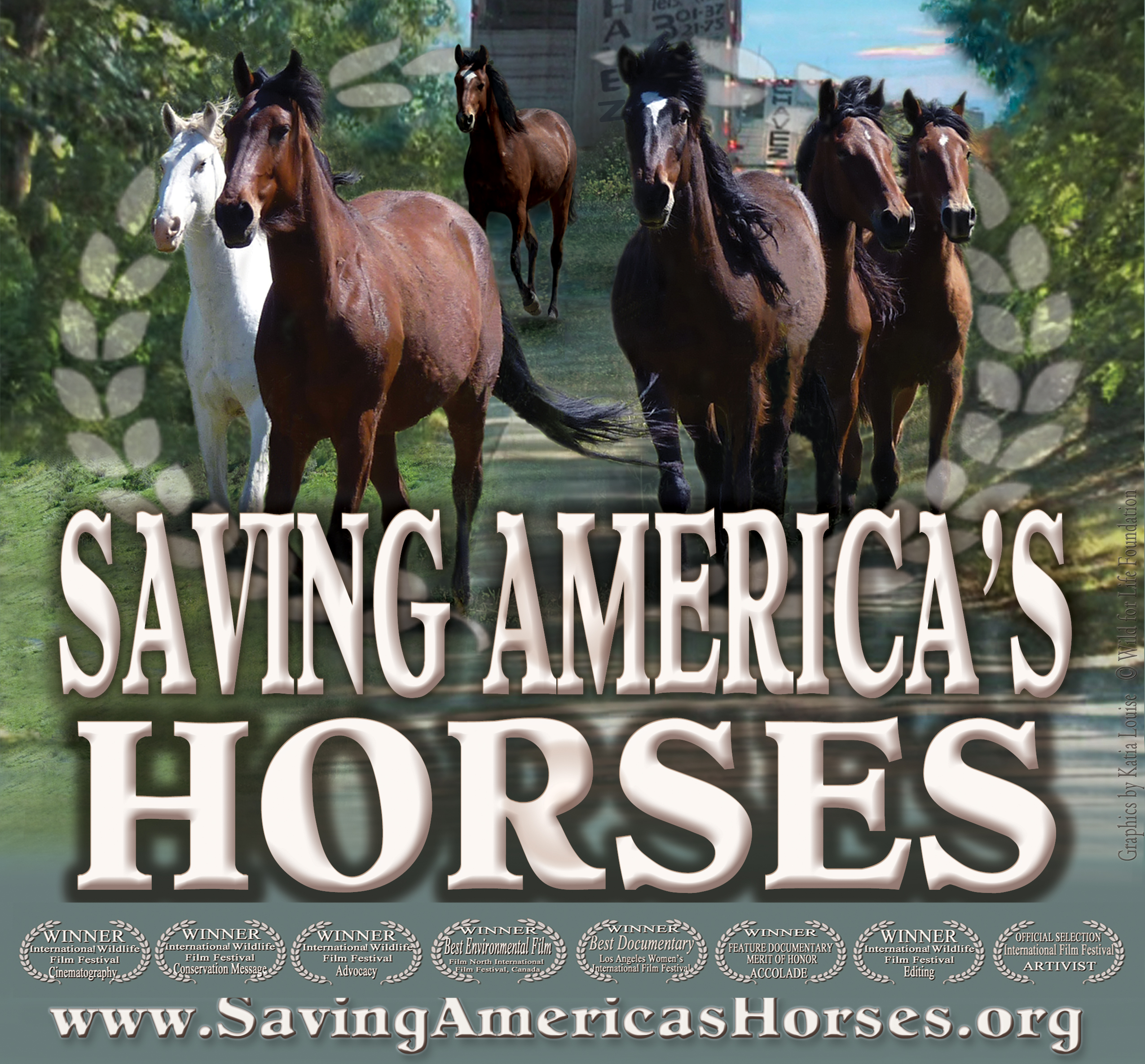 Sauver les chevaux d'Amérique