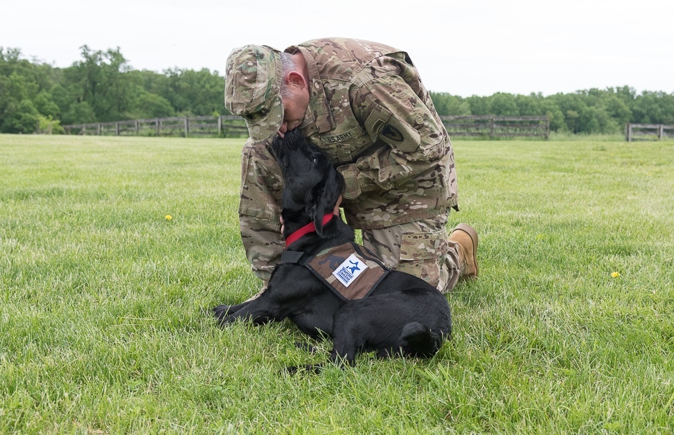 دعم التعافي من الصدمات القائم على المهمة للمحاربين القدامى