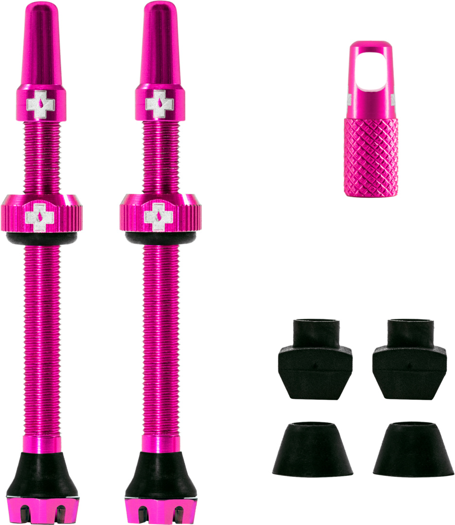 V2 Tubeless Valve Kit 60mm/pink