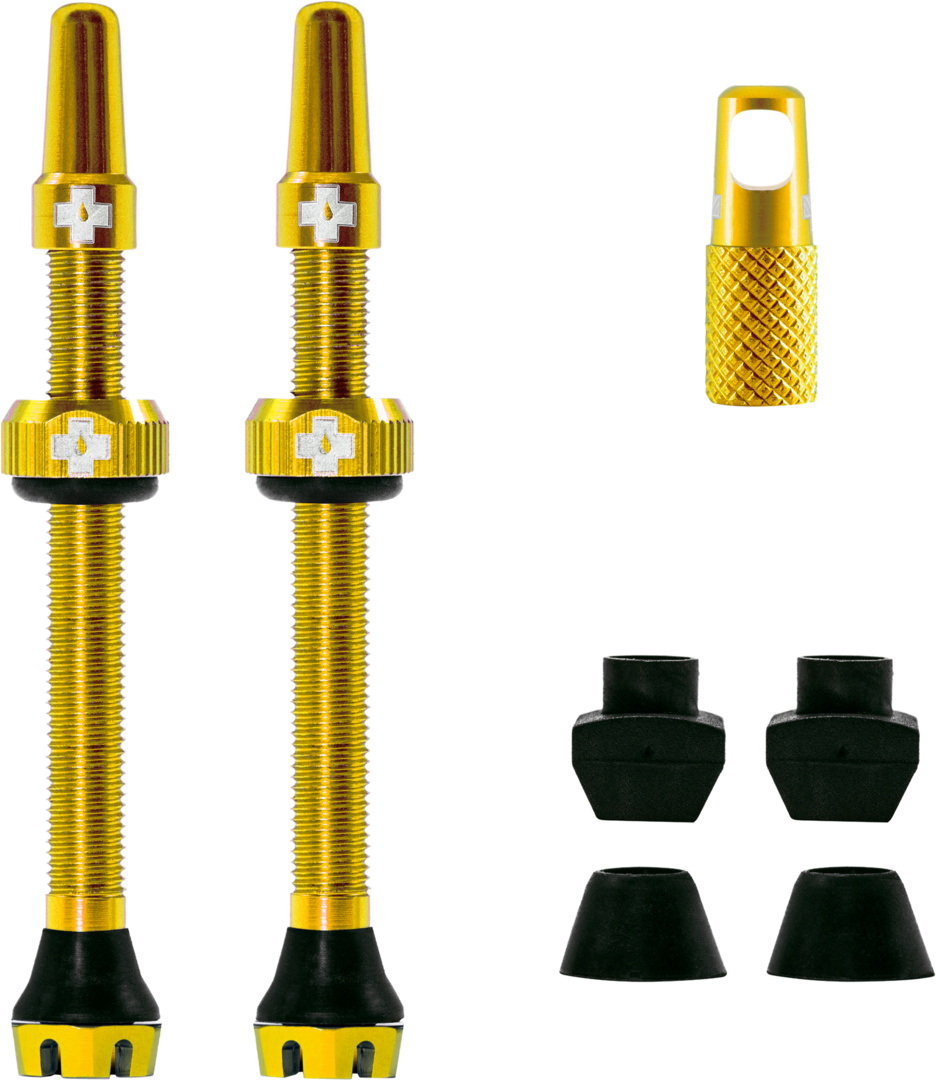 V2 Tubeless Valve Kit 60mm/gold
