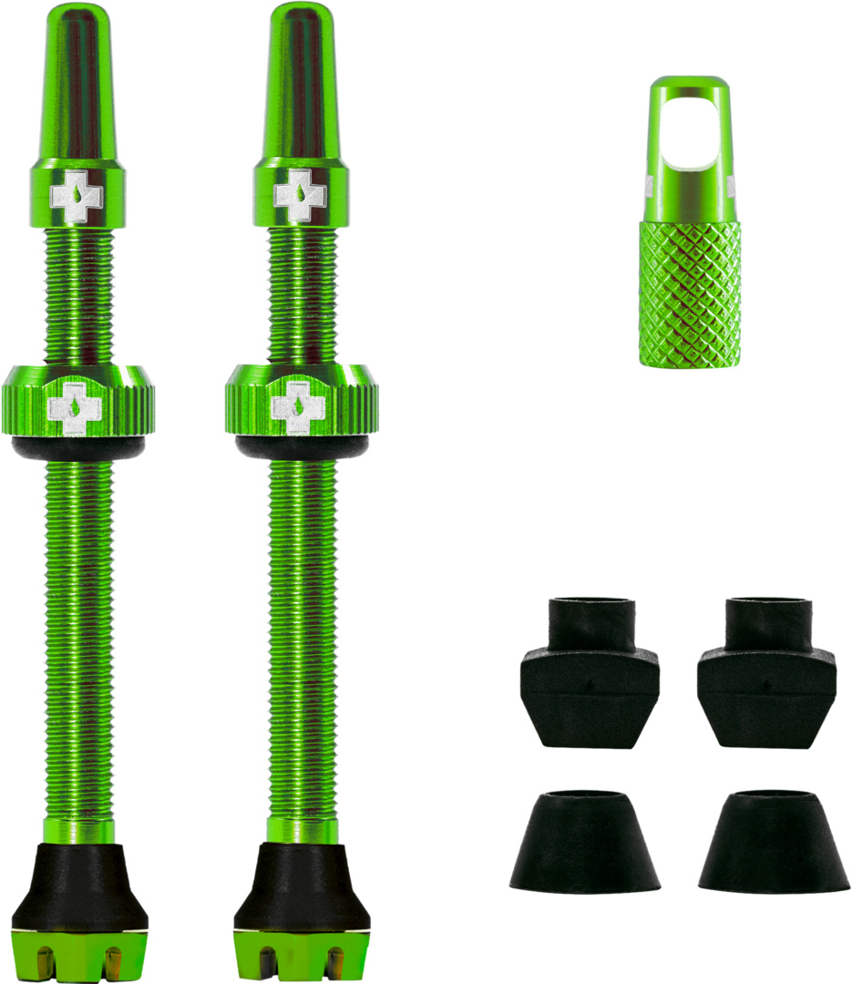 V2 Tubeless Valve Kit 60mm/green