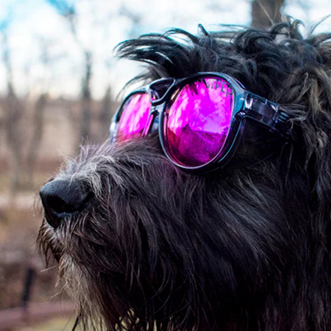 The Smoke Show Exciters Polarized Purple – Bild 4