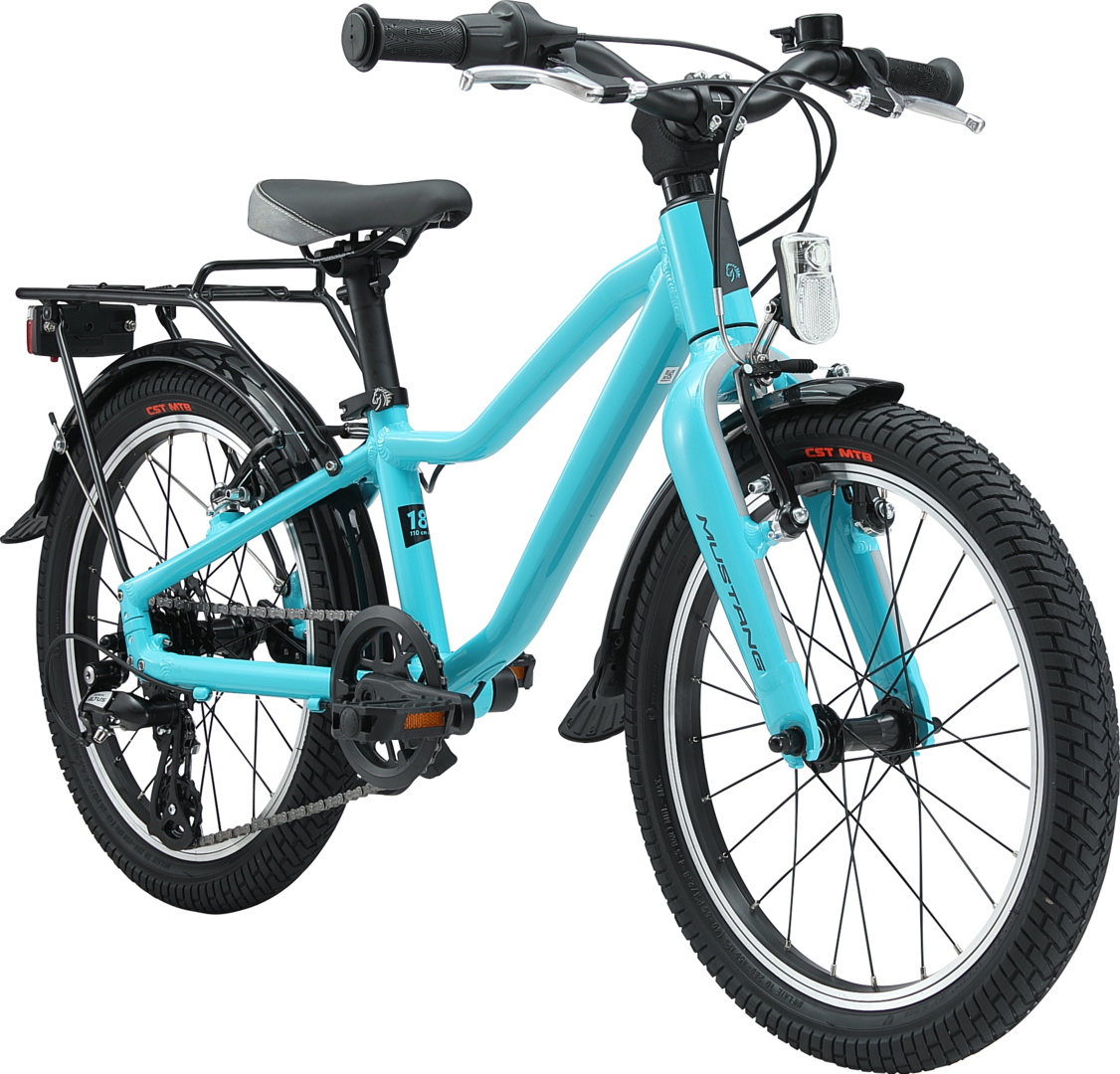 Appaloosa 18" 1.0 – Bild 2