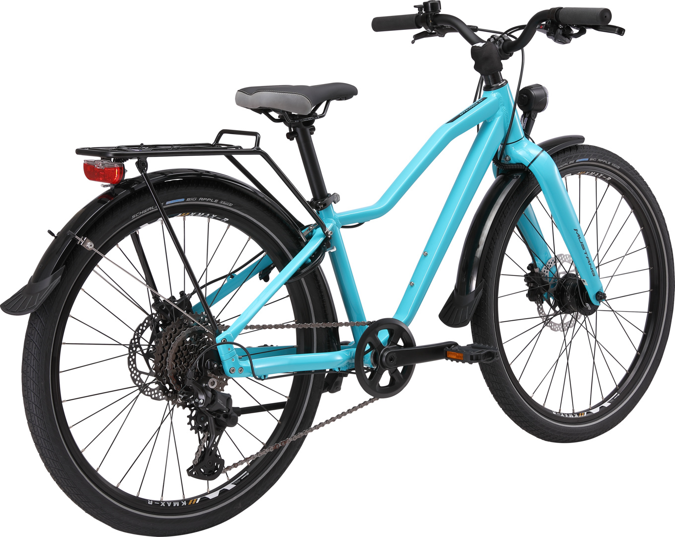 Appaloosa 24" 1.0 – Bild 3