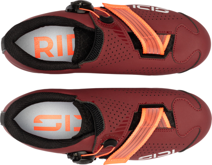 RR Prima Woman cabernet/coral