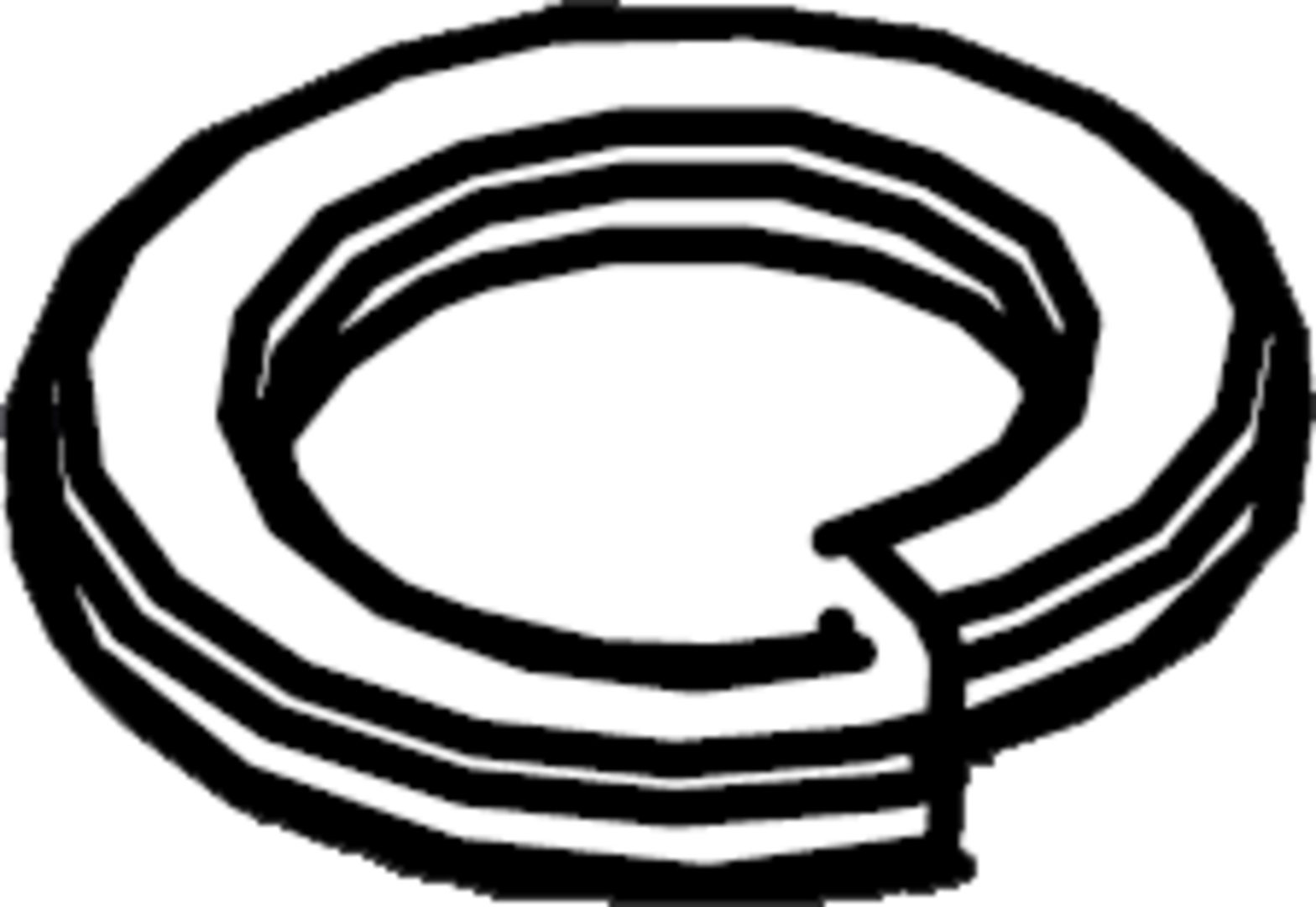 Circuit-Spring Washer