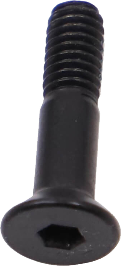 Chain Guide Adapter Screw M4x15