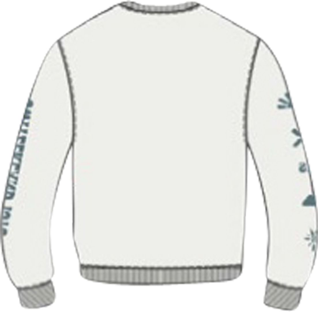 Graphic 1.0 Sweater off white – Bild 2