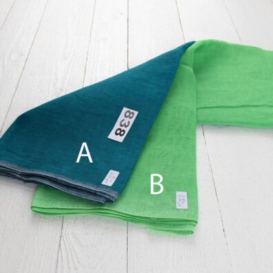 Audinių rinkinys Nr. 838