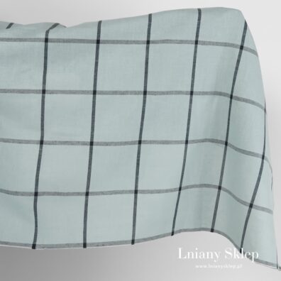 Niebieskawa tkanina w cienką czarną kratkę.