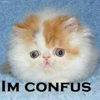 7142 img20170118202356822