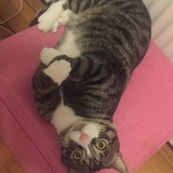 7172 dcdf043ebeef5ece7dcdd63151fd78b0312e04b4f70ef22c19pimgpshfullsizedistr