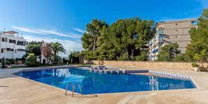 Modernised apartment with sea views in Puerto Portals (Thumbnail 1)