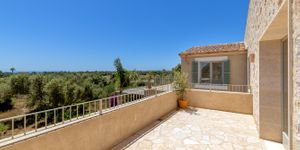 Finca in Sa Rapita - Mediterranes Landhaus mit Pool und Gästehaus (Thumbnail 9)