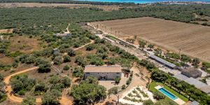 Finca in Sa Rapita - Mediterranes Landhaus mit Pool und Gästehaus (Thumbnail 2)