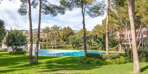 Premium apartment in newly built community (Thumbnail 4)