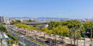 Newly built apartment with sea views in Palma de Mallorca (Thumbnail 2)