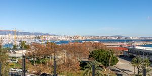 Apartment in Palma - Neubauresidenz mit Meerblick am Paseo Marítimo (Thumbnail 3)
