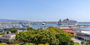 Duplex penthouse with sea views and private rooftop pool in Palma (Thumbnail 1)