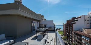 Renovated penthouse with sea views and large terrace in PalmaRenovated penthouse with sea views and large terrace in Palma (Thumbnail 2)