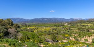 Neues Stadthaus in Sa Cabaneta (Thumbnail 1)