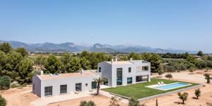 Newly built finca with pool in Santa Maria (Thumbnail 3)