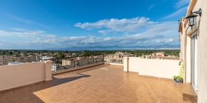 Penthouse in Las Palmeras - Moderne Wohnung mit Meerblick und gigantischer Dachterrasse (Thumbnail 4)