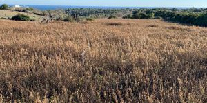 Finca property with sea view near Portocolom (Thumbnail 3)
