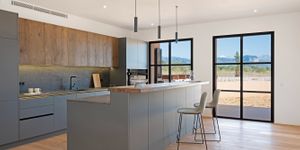Exclusive new-build finca with pool in Santa Maria (Thumbnail 7)