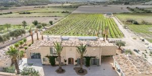 Luxurious finca property with vineyard and pool in a fantastic location of Montuiri (Thumbnail 10)