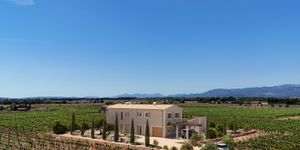 New country estate near Sencelles and Binissalem (Thumbnail 8)