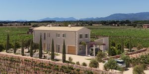 New country estate near Sencelles and Binissalem (Thumbnail 2)