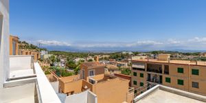 Renovated house close to Palma in Genova (Thumbnail 4)