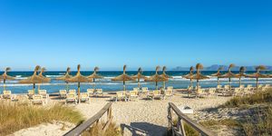 Exclusive new-build apartment on the seafront in Puerto Pollenca (Thumbnail 6)