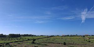Finca in Ses Salines - Neubau Anwesen mit Panoramaweitblick nach Cabrera (Thumbnail 6)