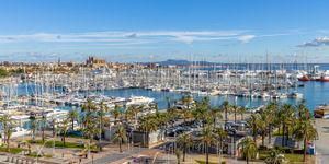 Apartment in Palma - Luxuswohnung direkt am Yachthafen (Thumbnail 1)
