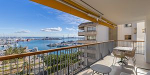 Apartment in Palma - Luxuswohnung direkt am Yachthafen (Thumbnail 3)