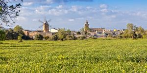 Stadthaus in Algaida - Neubau in schöner Lage am Ortsrand (Thumbnail 1)