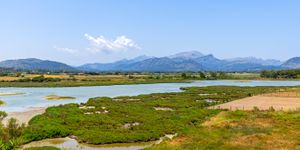 Villa in Alcudia - Stylish property close to the beach with holiday rental licence (Thumbnail 3)