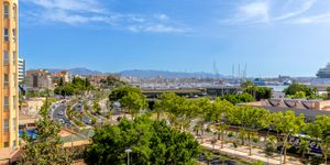 Apartment in Palma - Elegante Luxuswohnung mit Hafen und Meerblick (Thumbnail 7)