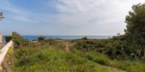 Grundstück in Cala Pi - Bauland in erster Meereslinie (Thumbnail 3)