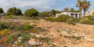 Grundstück in Cala Pi - Bauland in erster Meereslinie (Thumbnail 8)