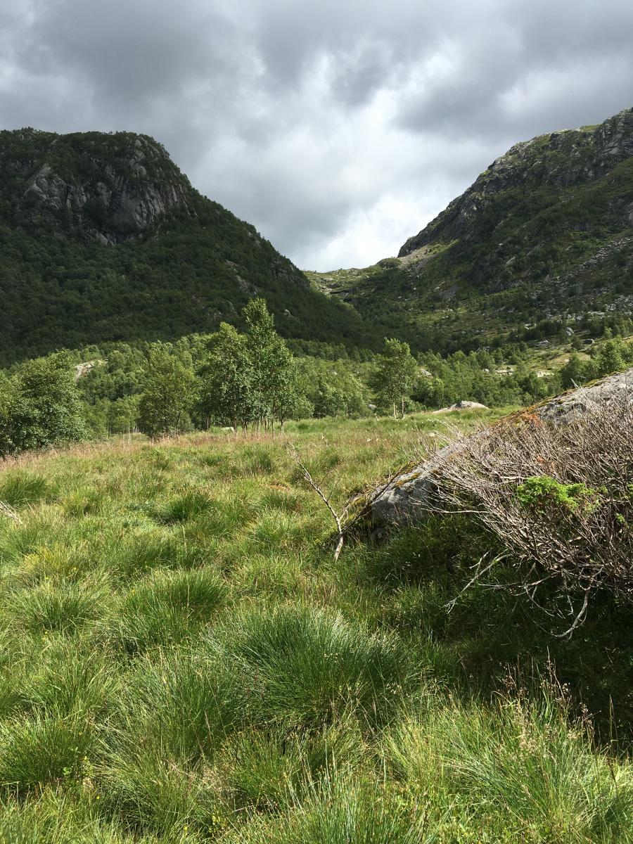 Telttur for første gang, alt gikk fint men en tabbe Telttur for første gang, alt gikk fint men en tabbe