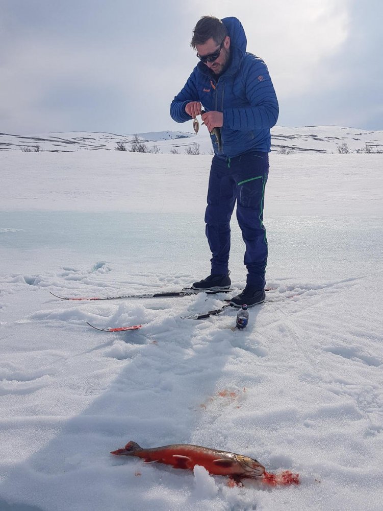 2019-04-20 14.15.37.jpg