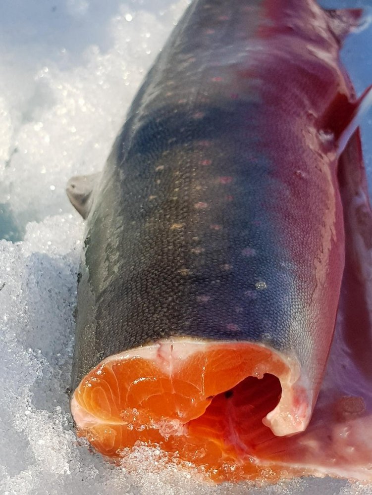 2019-04-20 17.33.10.jpg