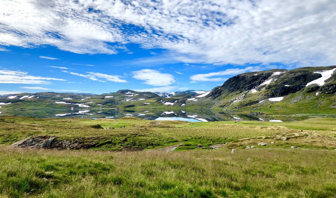 Hardangervidda.jpeg